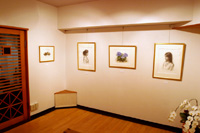 木原和敏 水彩・素描展　2006年7月　画廊宮坂 展示の様子1