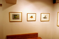 木原和敏 水彩・素描展　2006年7月　画廊宮坂 展示の様子3