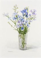 青い花 424mm×304mm 水彩 2012年7月